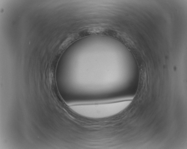 X0000079340227200611170939
