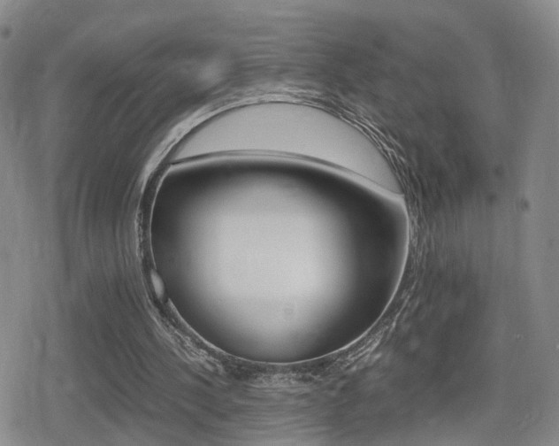 X0000079340244200611170938