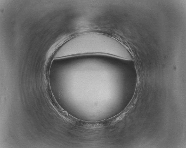 X0000079340245200611170938
