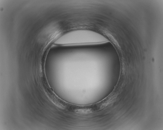 X0000079340251200611170938