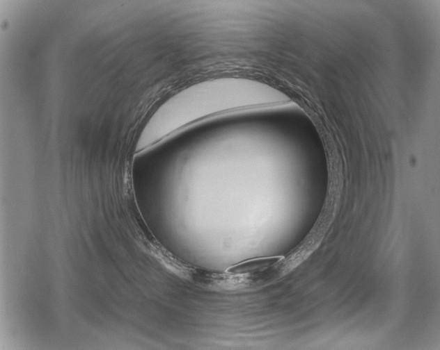 X0000079340288200611170939