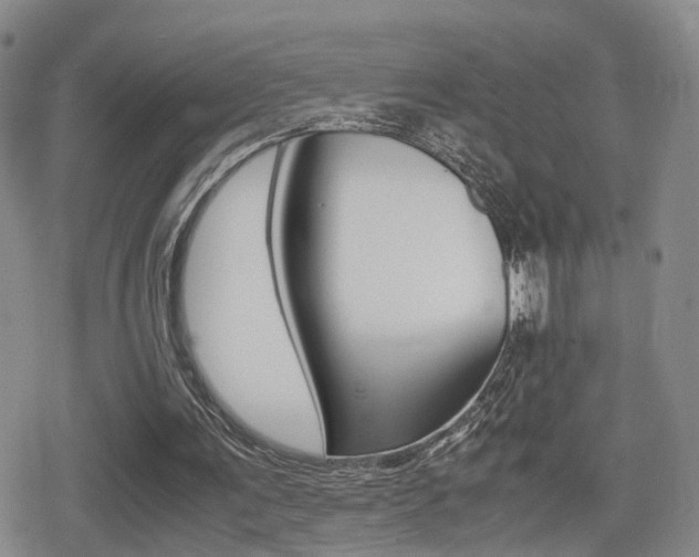 X0000079340291200611170938