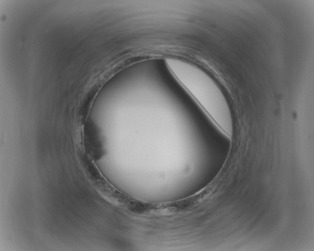 X0000079340307200611170938