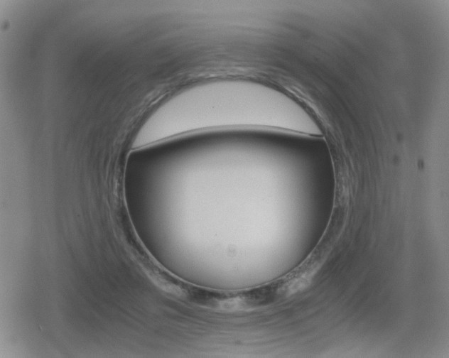 X0000079340309200611170938