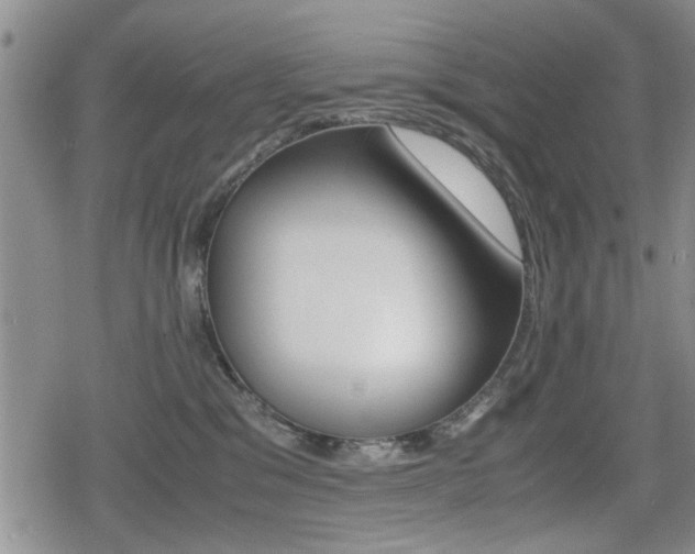 X0000079340329200611170938