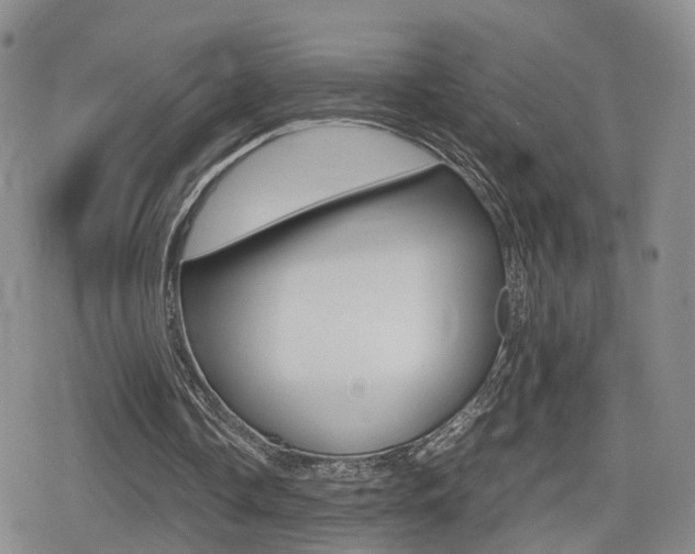 X0000079340338200611170937
