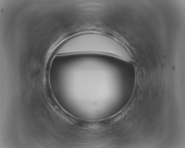 X0000079340344200611170937