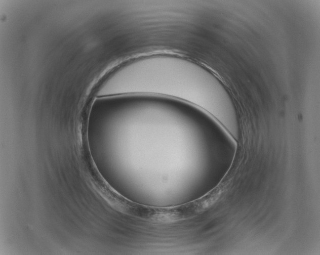 X0000079340350200611170937
