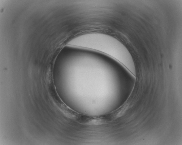 X0000079340364200611170937