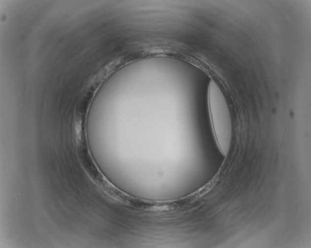 X0000079340406200611170936