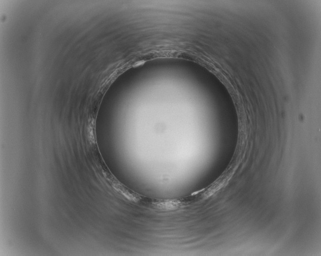 X0000079340432200611170936