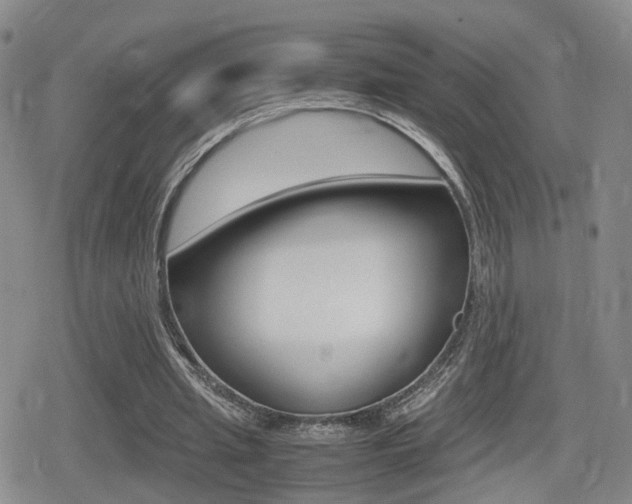 X0000079340437200611170935
