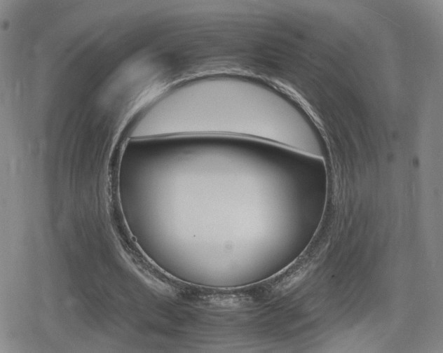 X0000079340439200611170935