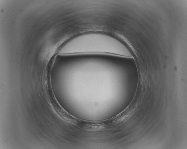 X0000079340443200611170935