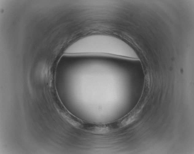 X0000079340458200611170935