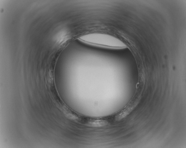 X0000079340467200611170936