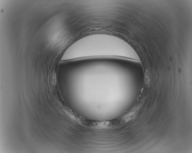X0000079340474200611170936