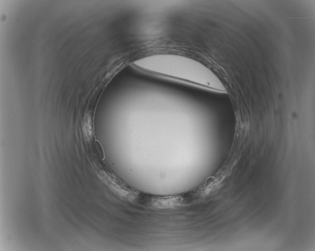 X0000079340479200611170936