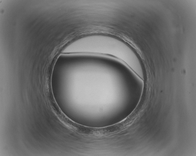 X0000079340489200611170935