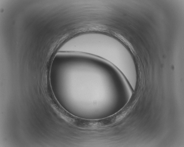 X0000079340493200611170935