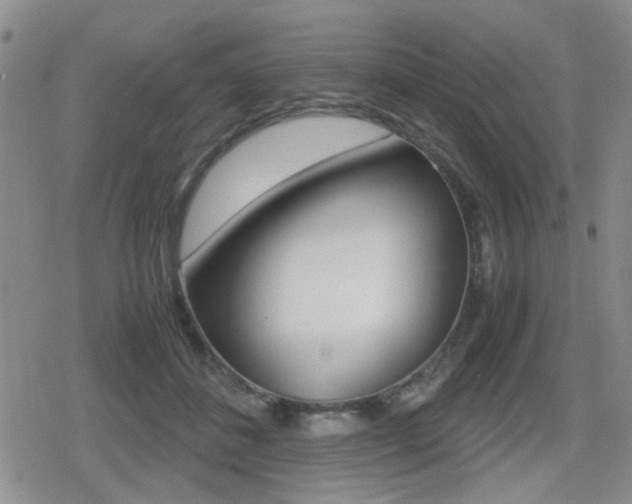 X0000079340508200611170935
