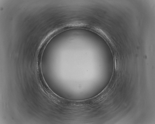 X0000079340531200611170934