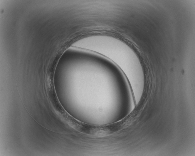 X0000079340597200611170933