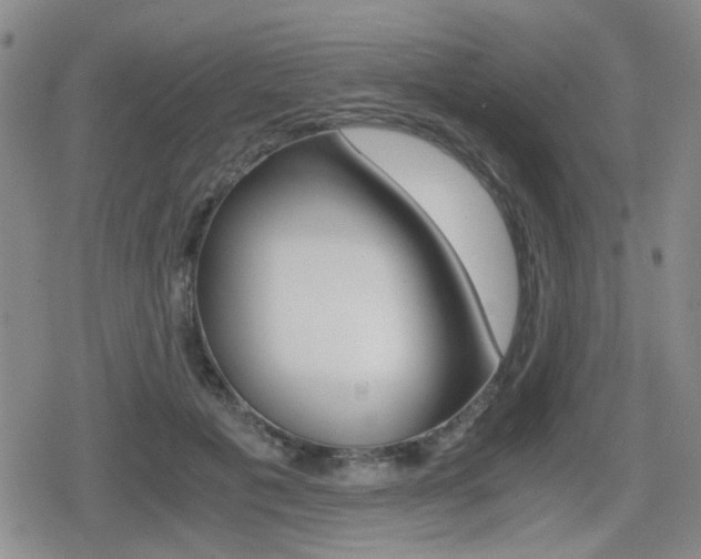 X0000079340601200611170933