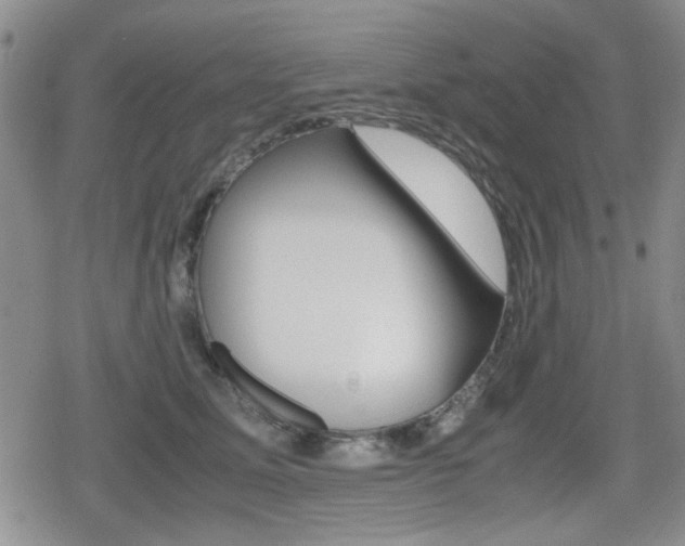 X0000079340611200611170933