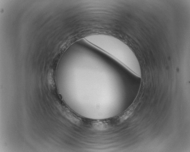 X0000079340616200611170933
