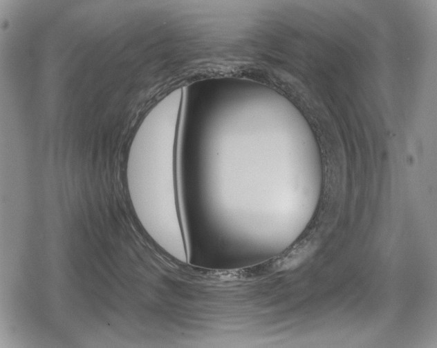 X0000079340624200611170933