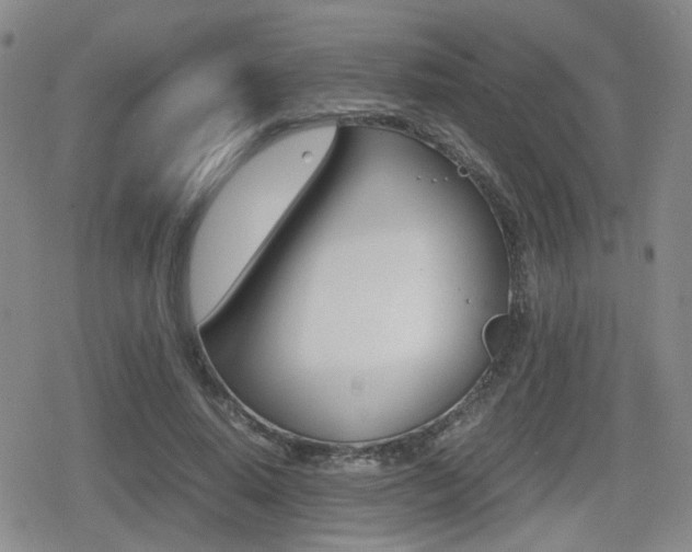 X0000079340640200611170932