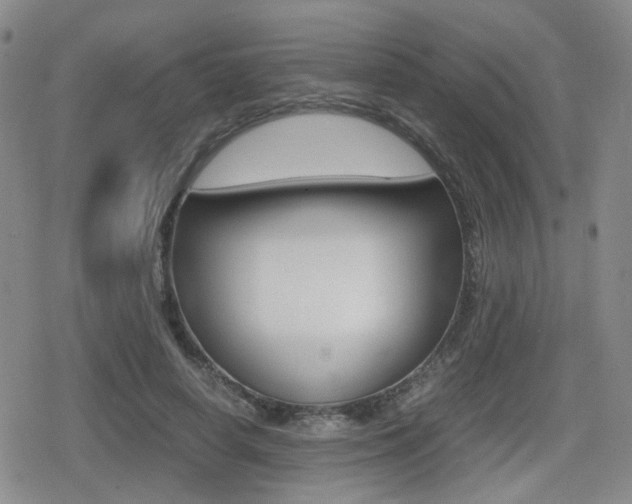 X0000079340642200611170932