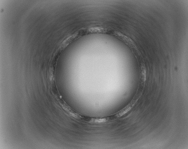 X0000079340665200611170933