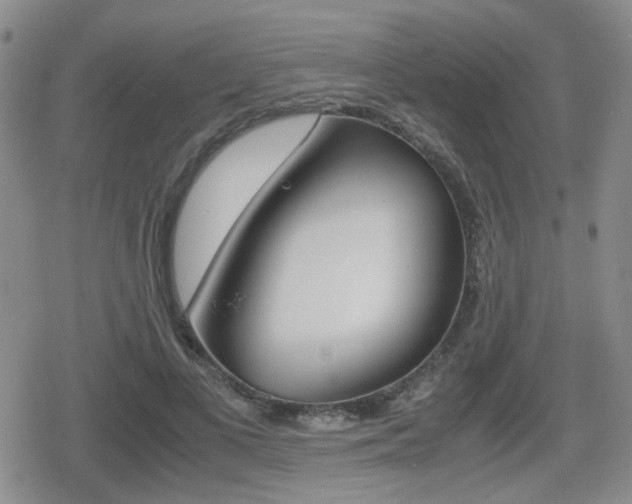 X0000079340693200611170932
