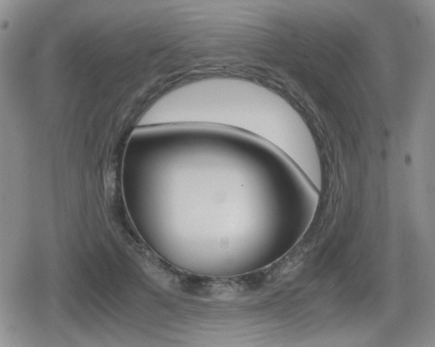 X0000079340697200611170932
