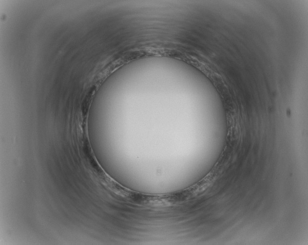 X0000079340702200611170931