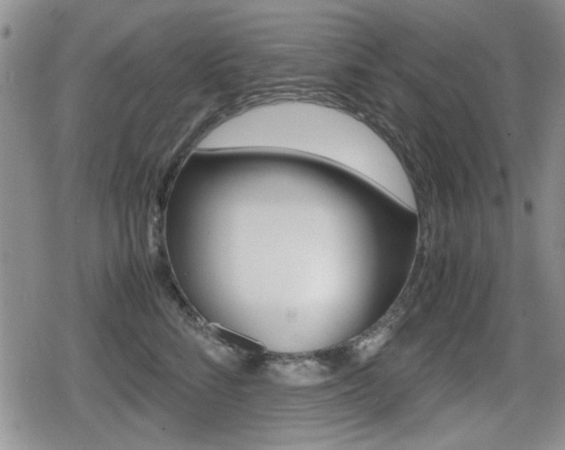 X0000079340712200611170931