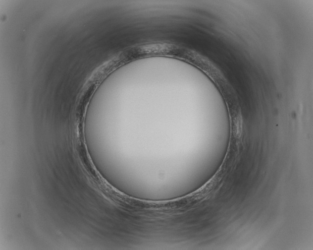 X0000079340733200611170931