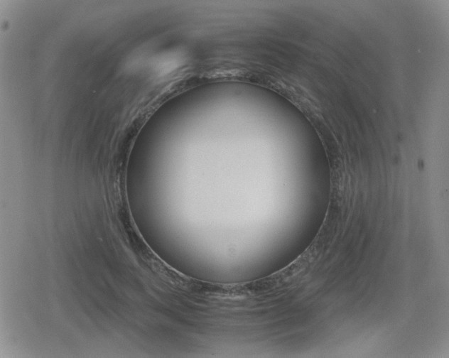 X0000079340743200611170931