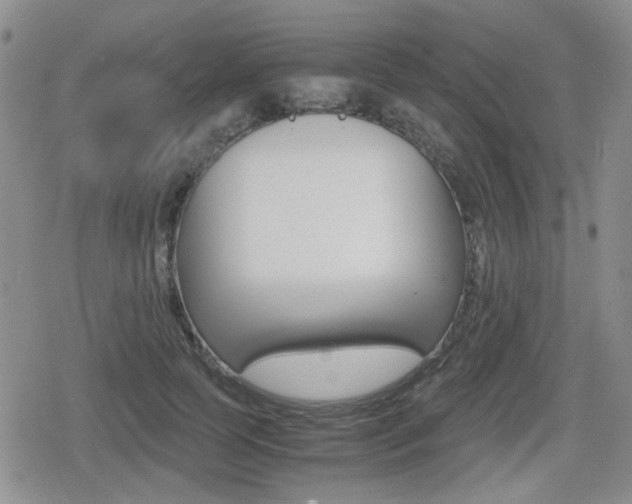 X0000079340745200611170931