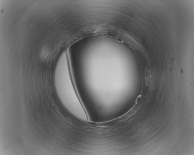 X0000079340748200611170931