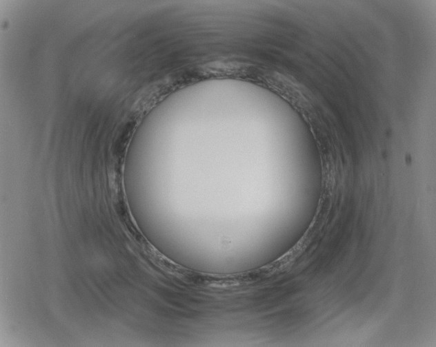 X0000079340749200611170931