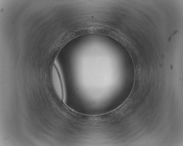 X0000079340750200611170931