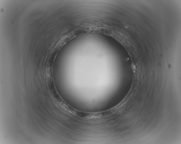 X0000079340756200611170931