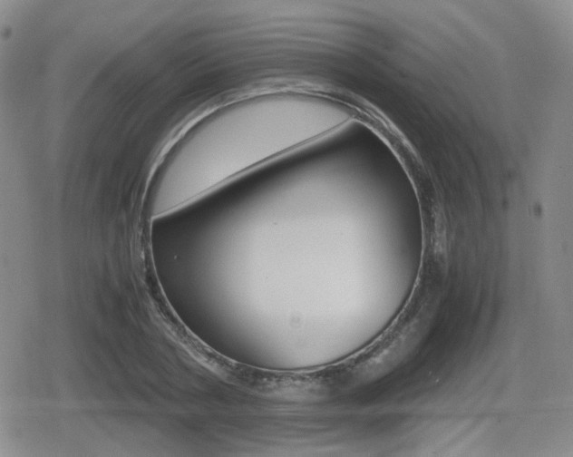 X0000079340786200611170930