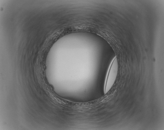 X0000079340817200611170929