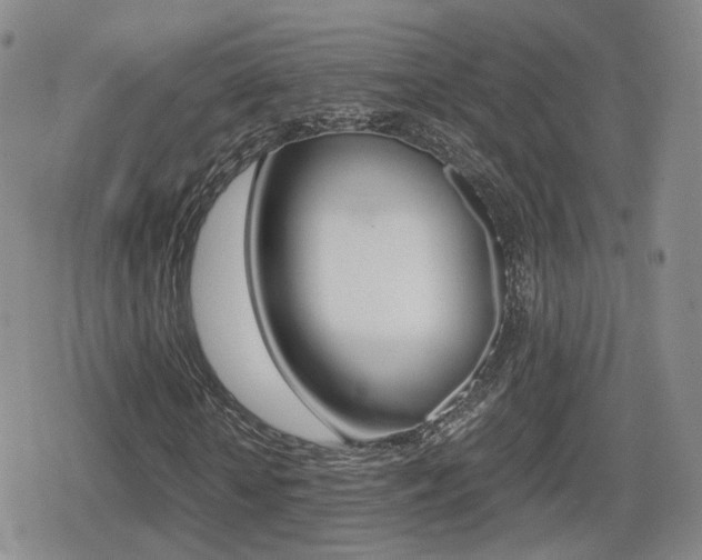 X0000079340818200611170929
