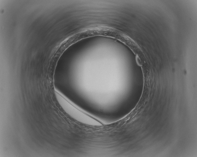 X0000079340822200611170929