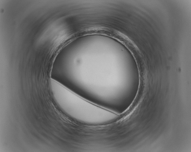 X0000079340825200611170929